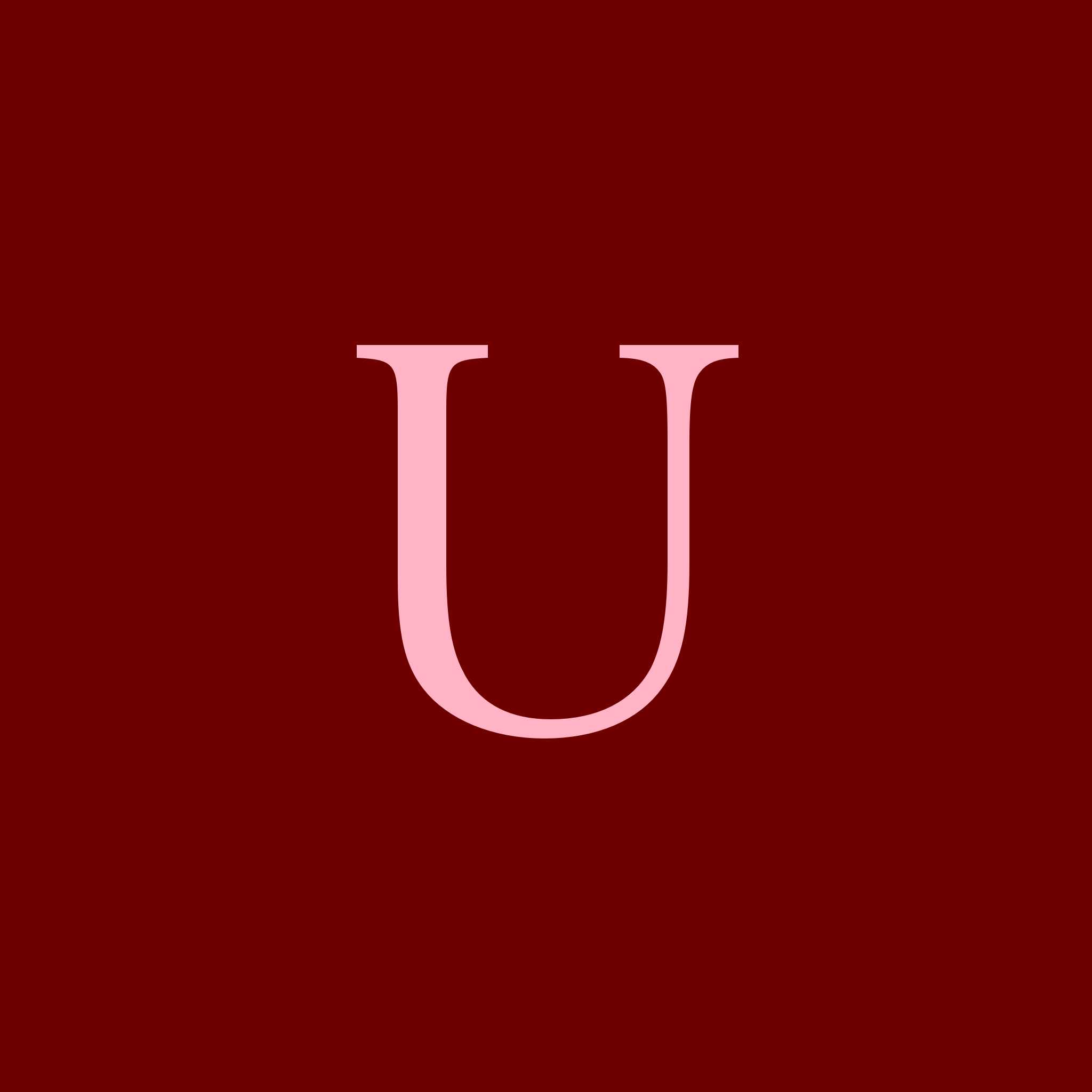 Image 21 